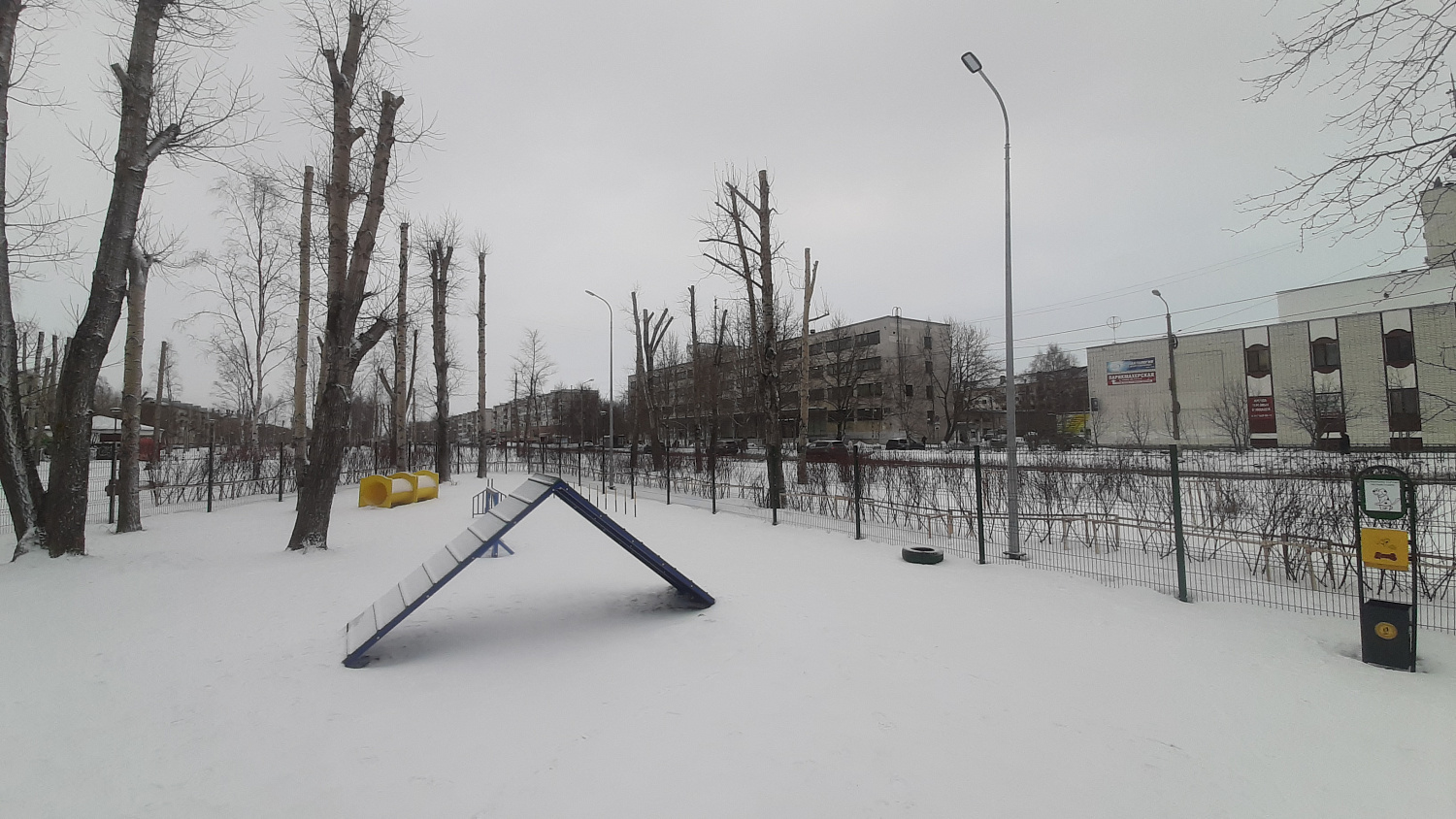 Аллея Молодежи г.Северодвинск