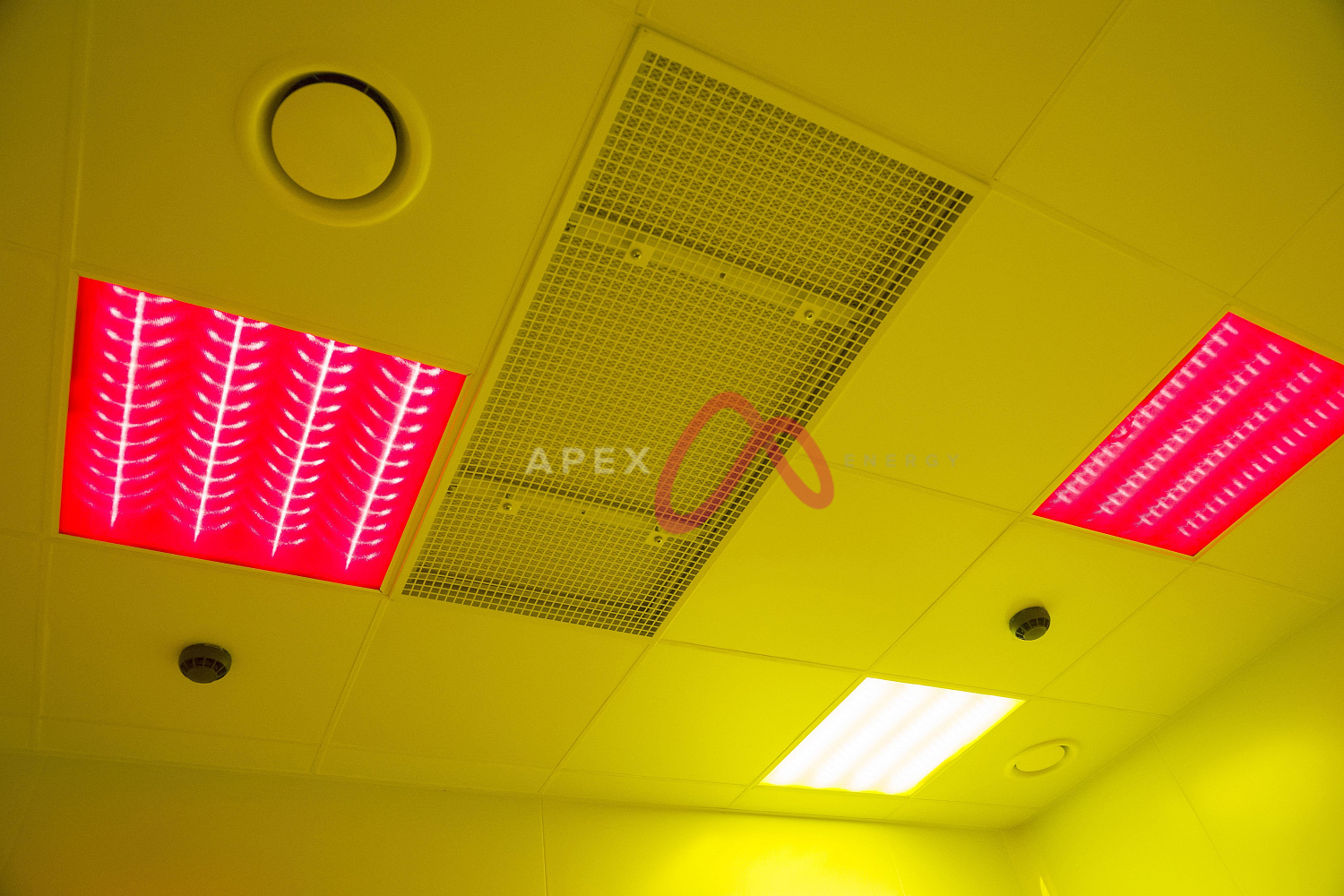 Предприятие по производству микроэлектроники г. Тамбов.