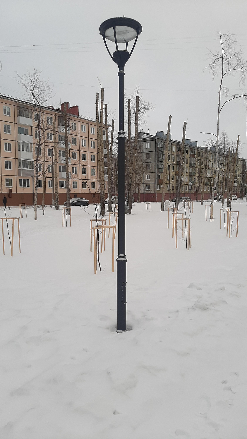 Аллея Молодежи г.Северодвинск