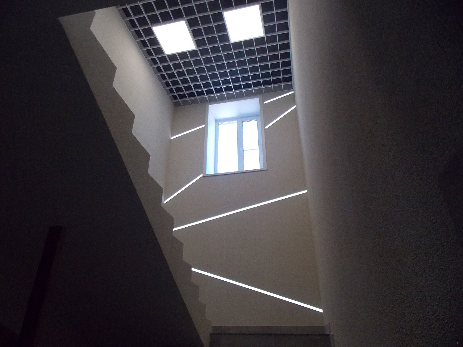 Освещение офиса продаж компании Тракотородеталь в городе Архангельске.